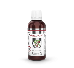 SARSAPARILLA